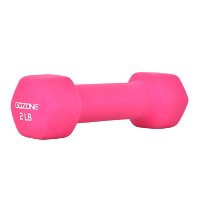 Weights For Home Gym Fitness Alley Neoprene Coated 5lb Workout Of