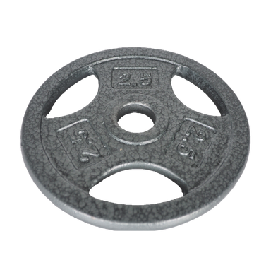 2 1/2 Lb Grip Weight Plate – Silver