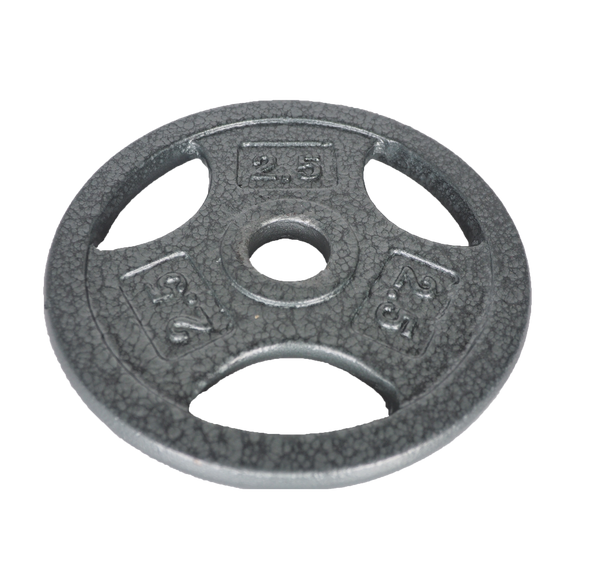 2 1/2 Lb Grip Weight Plate – Silver