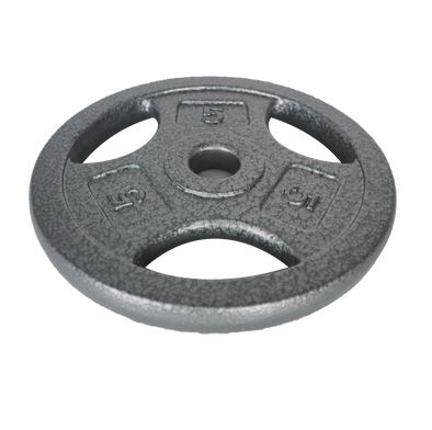 5 Lb Grip Weight Plate – Silver