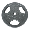 25 Lb Grip Weight Plate – Silver