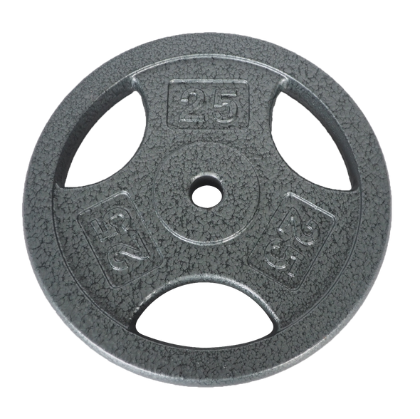 25 Lb Grip Weight Plate – Silver